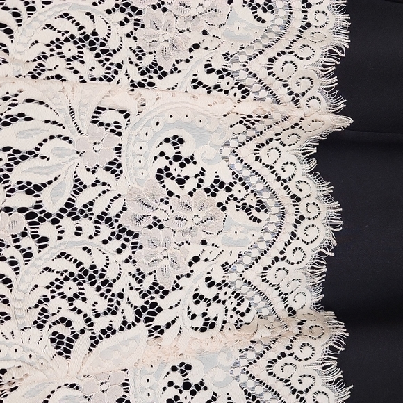 TED BAKER Sarvani Lace Bodice Dress Black Beige sz 2 US 6 Women's - Picture 5 of 9